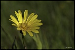-692a5912-modifier.jpg