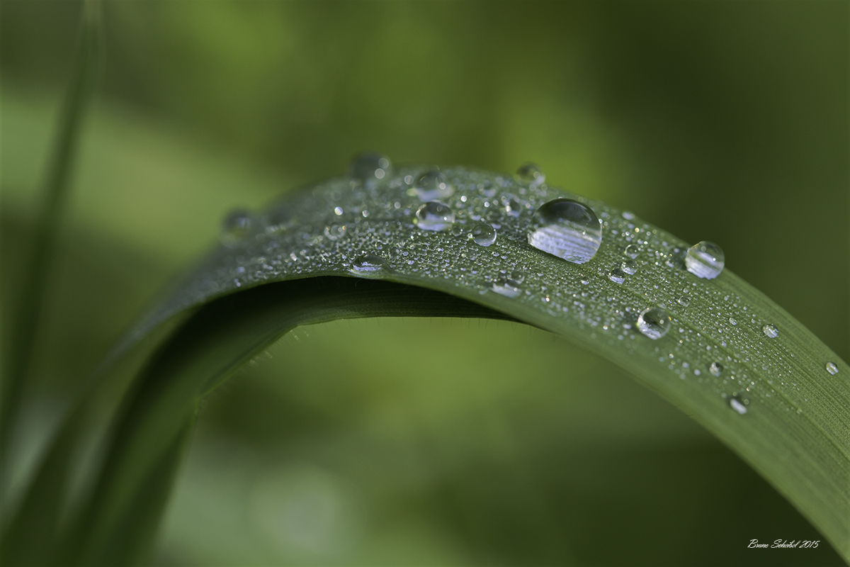 -692a5933-modifier.jpg