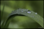 -692a5933-modifier.jpg
