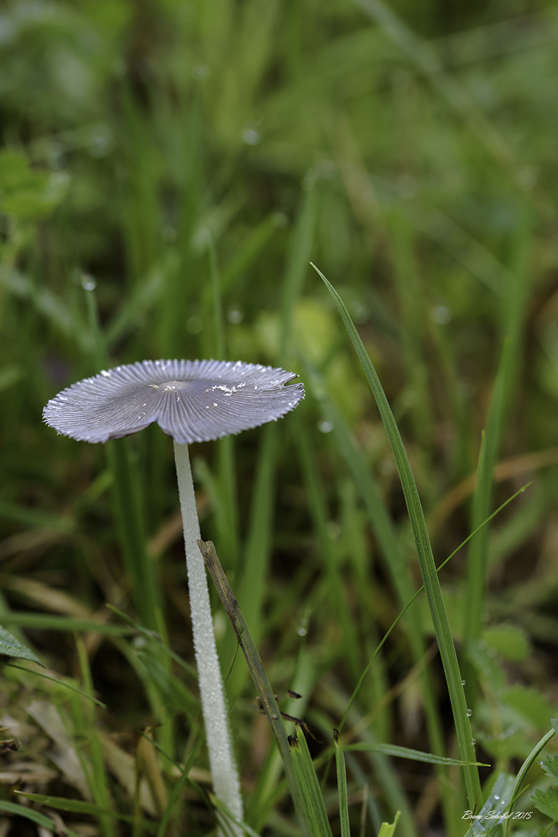 -692a5942-modifier.jpg
