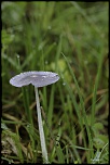 -692a5942-modifier.jpg