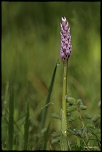 -692a5947-modifier.jpg