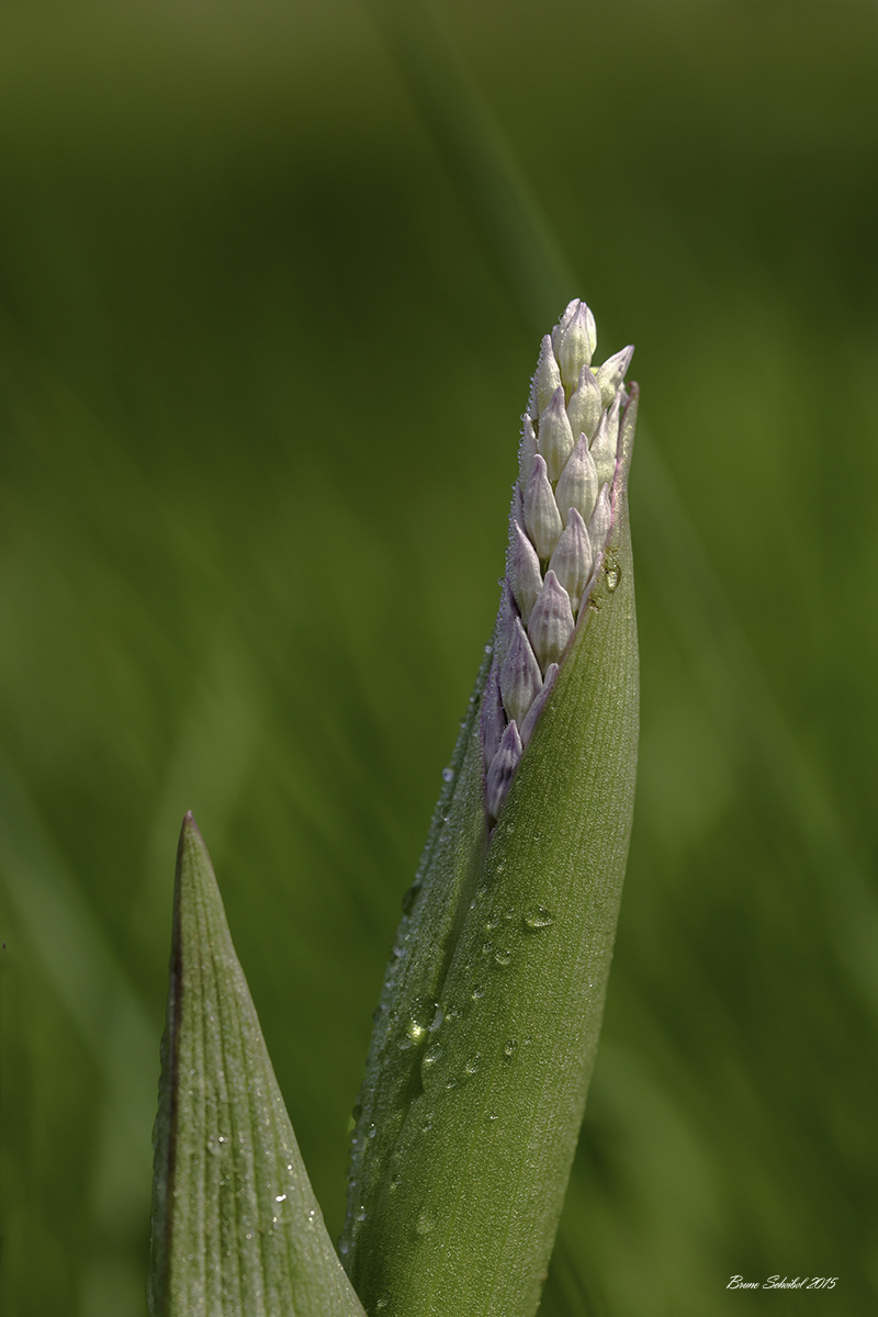 -692a5957-modifier.jpg