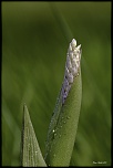 -692a5957-modifier.jpg