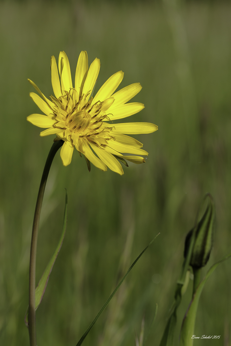 -692a6096-modifier.jpg
