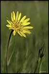 -692a6096-modifier.jpg