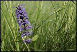 -692a6097-modifier.jpg
