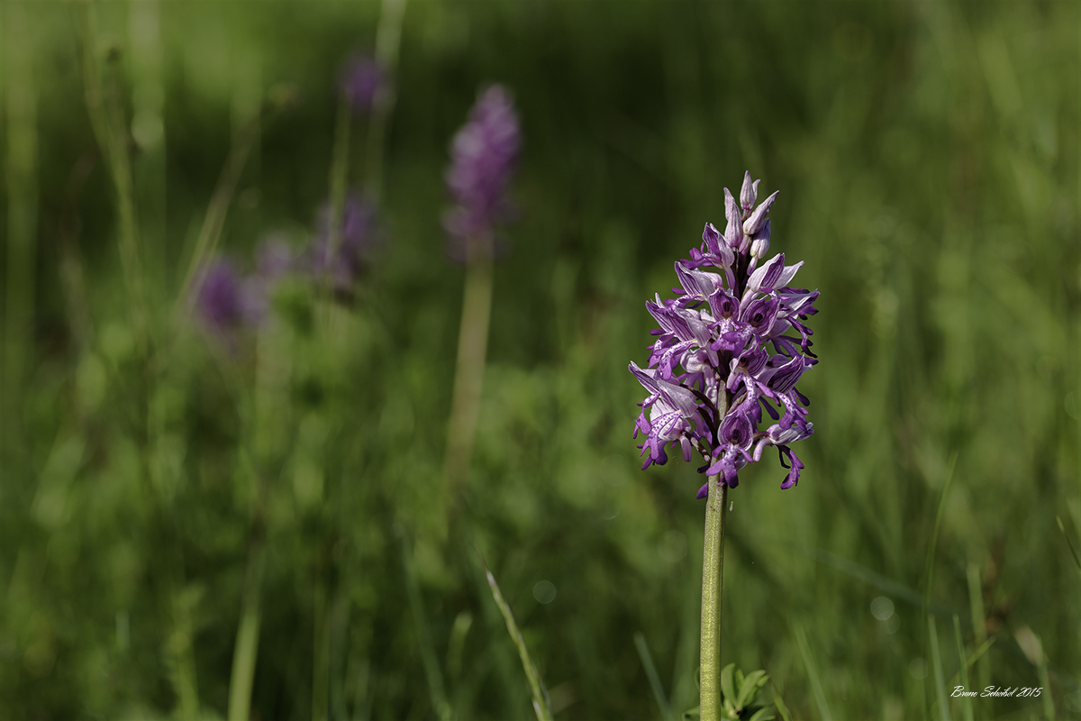 -692a6174-modifier.jpg