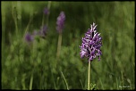-692a6174-modifier.jpg