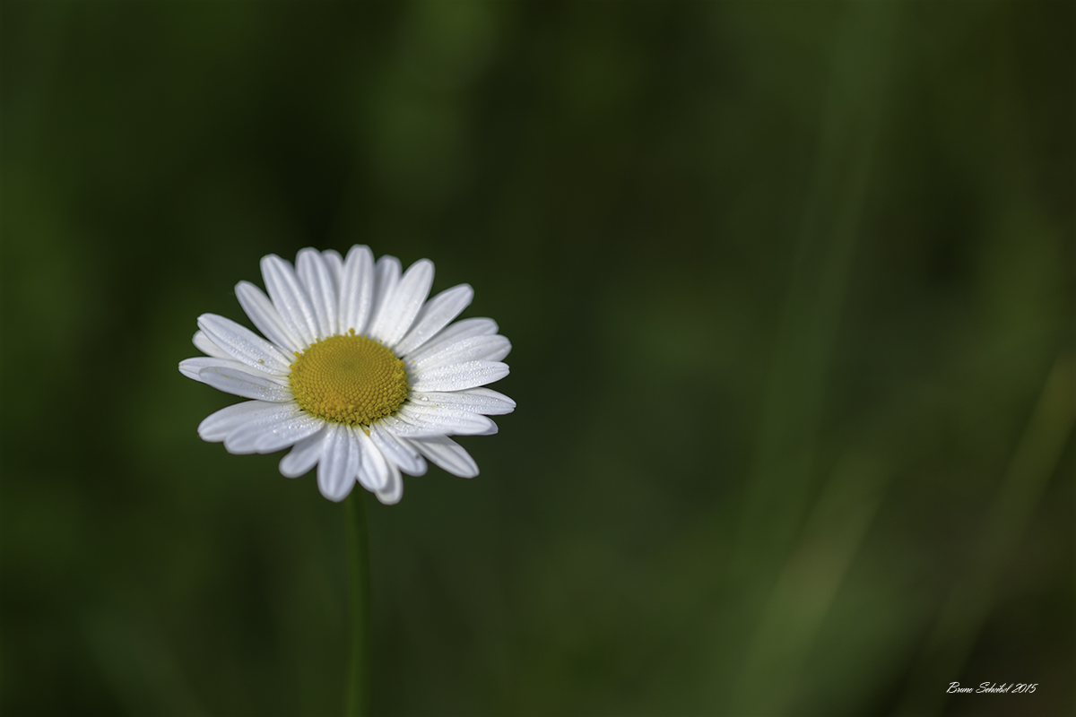 -692a6182-modifier.jpg
