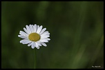 -692a6182-modifier.jpg