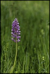 -692a6183-modifier.jpg