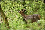 Les 10 derniers post du forum sur votre site-img_8015.jpg