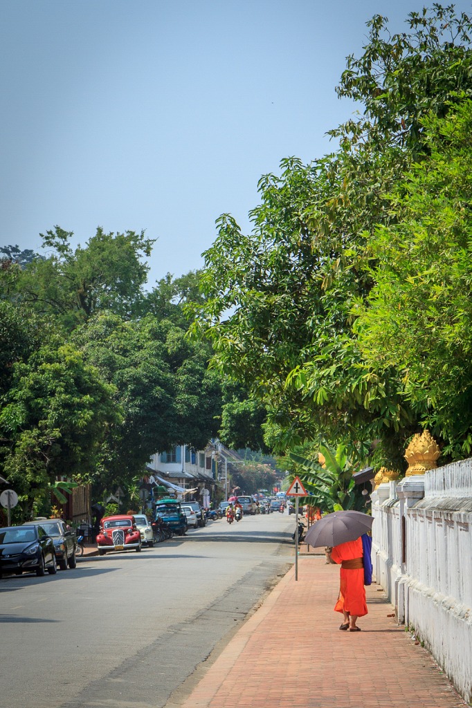 -img_9932-border.jpg