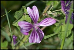 071