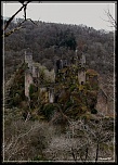 Les 10 derniers post du forum sur votre site-merleeos.jpg