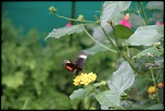 -img_2599bis.jpg