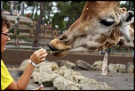 -justin-et-la-girafe.jpg