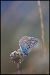 J&#39;ai pas de 300D, mais y a aussi un D dans le nom-img_1226_eos.jpg