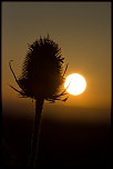 J&#39;ai pas de 300D, mais y a aussi un D dans le nom-img_0667_eos.jpg