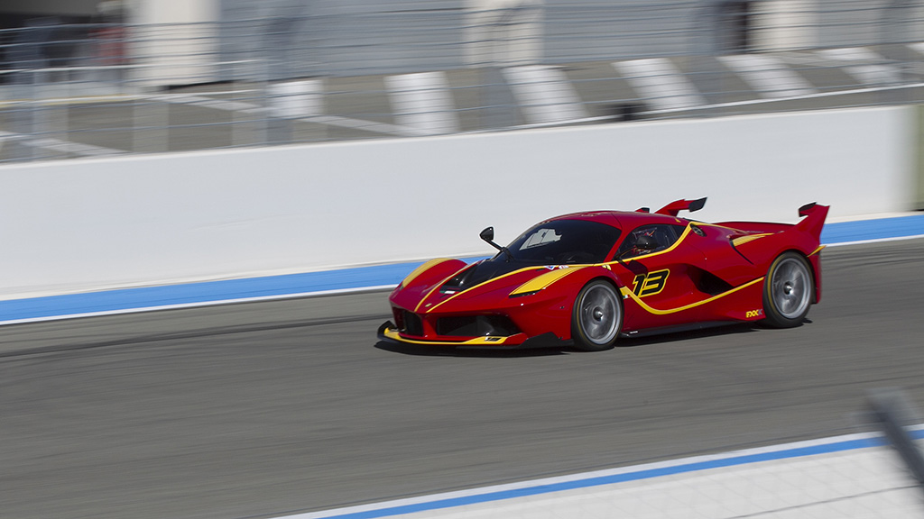 -ferrarird4.jpg