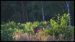 -img_0019face.jpg