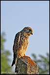 Rotation de la terre-img_6633_r.jpg
