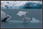 -pm5d9261_dxo.jpg
