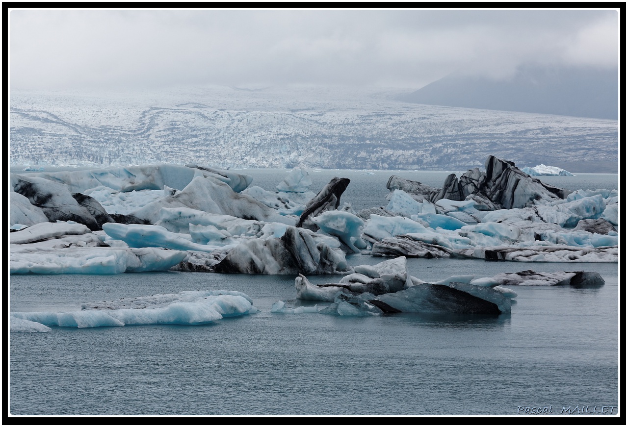 -pm5d9299_dxo.jpg