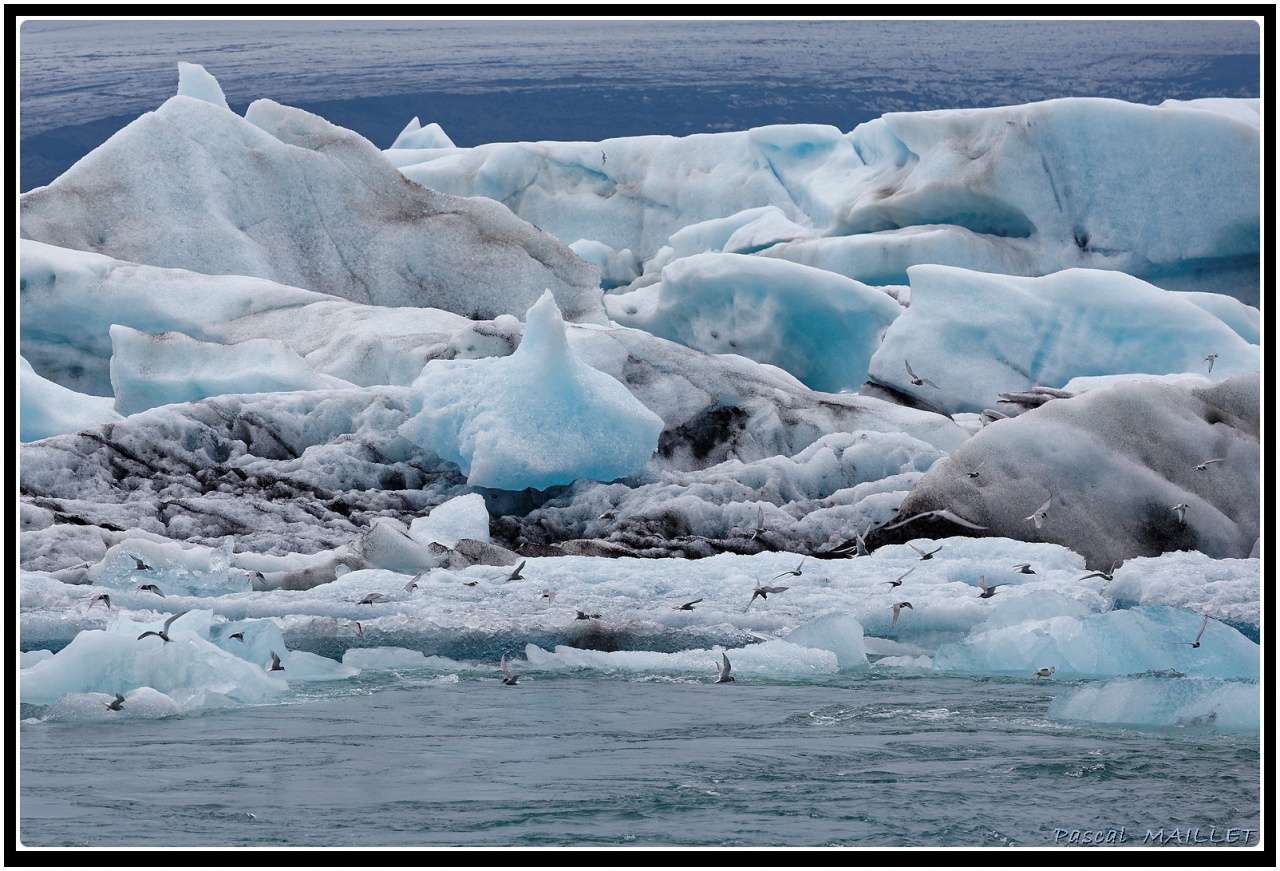 -pm5d9367_dxo.jpg