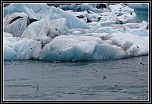-pm5d9376_dxo.jpg
