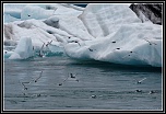 -pm5d9379_dxo_1.jpg