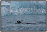 -pm5d9382_dxo_1.jpg
