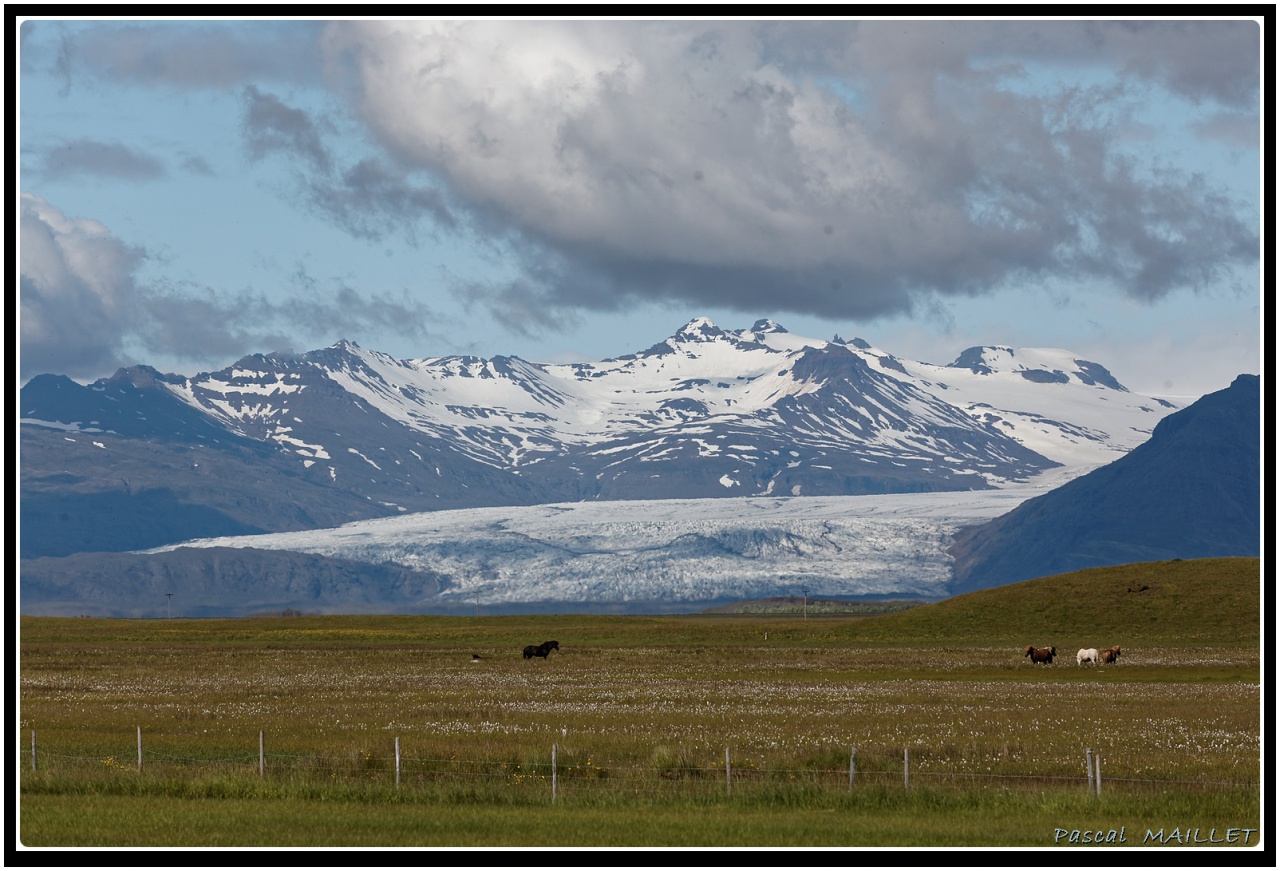-pm5d9395_dxo.jpg