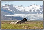 -pm5d9406_dxo.jpg