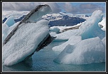 -pm5d9496_dxo.jpg