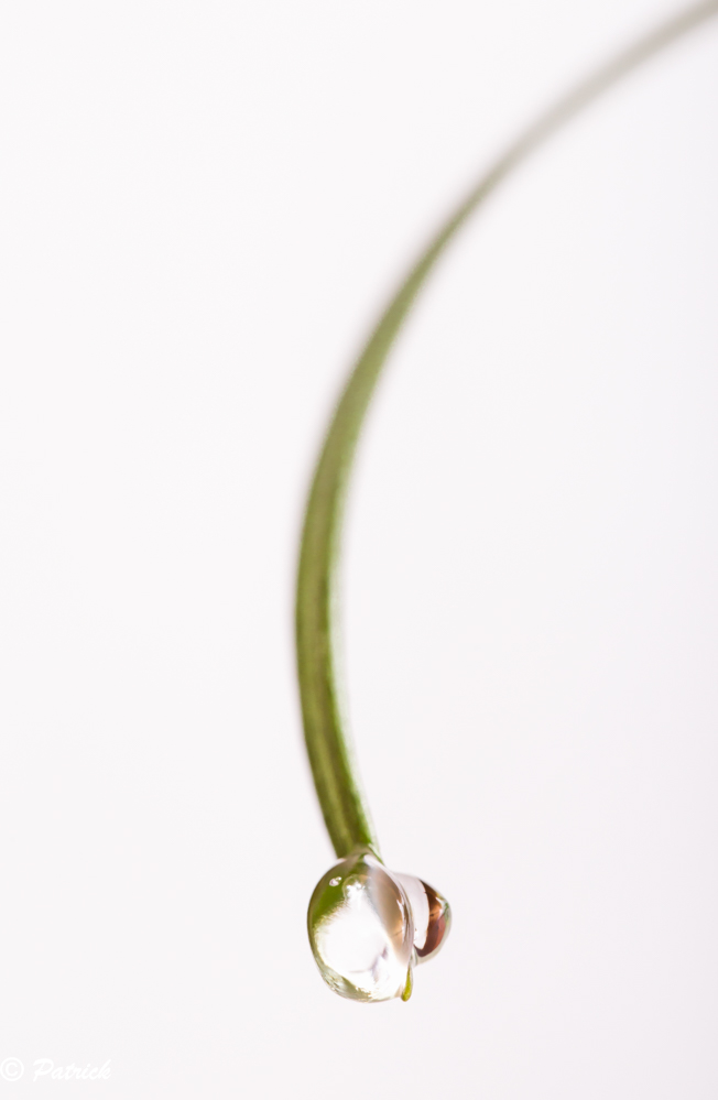 -goutte-1-sur-1-.jpg