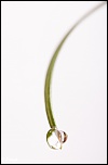 -goutte-1-sur-1-.jpg