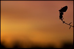 -r-veil-en-couleurs.jpg
