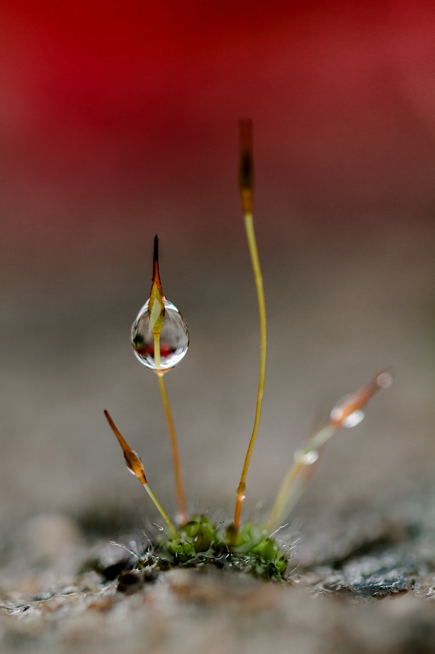 -apr-s-la-pluie-ii.jpg