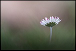 Simplicity