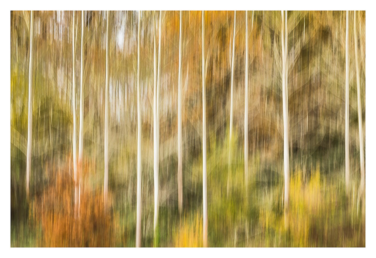 -abstract-autumn.jpg