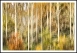 -abstract-autumn.jpg