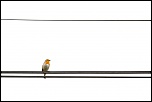 protection du 300D-en-ligne.jpg