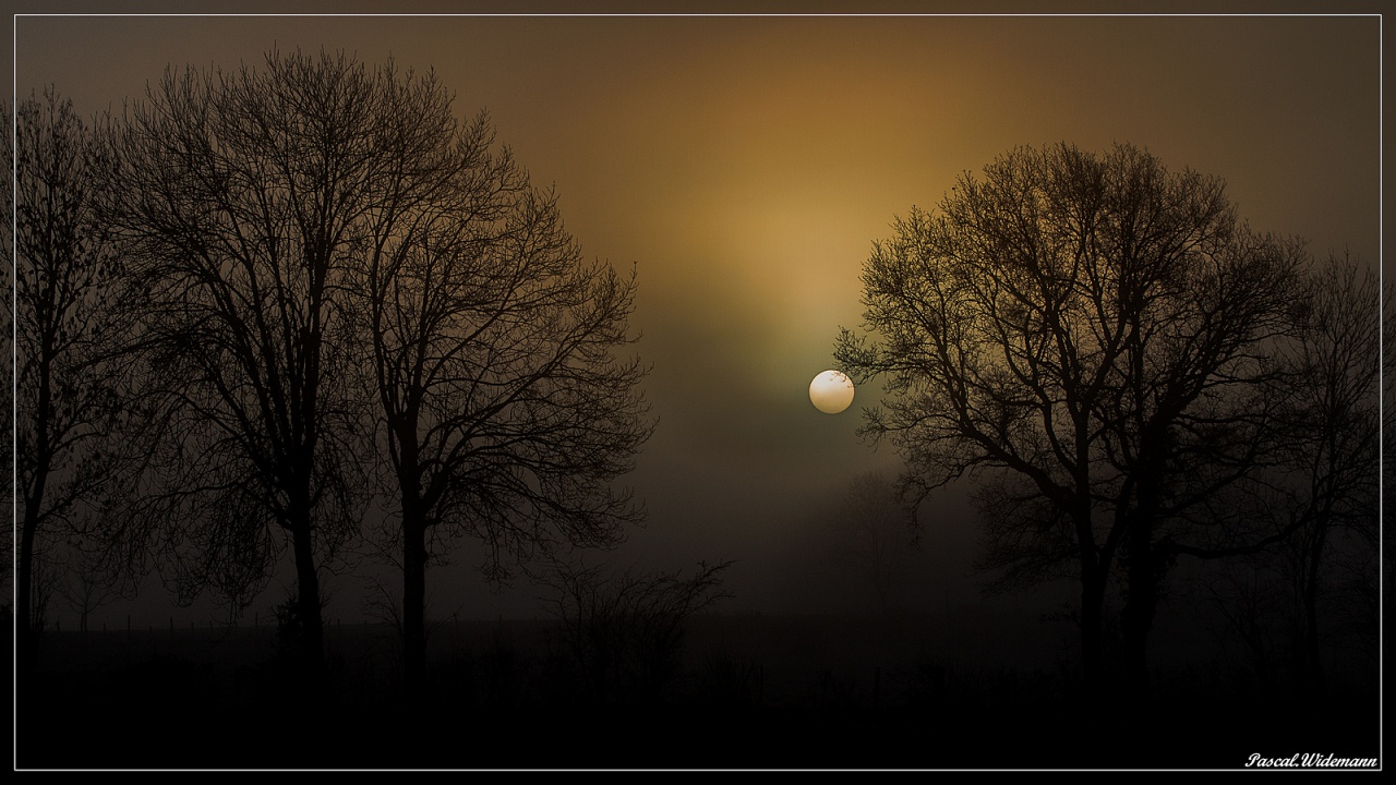 demande de retours d&#39;experience filtres-pleaux-1-sur-1-.jpg