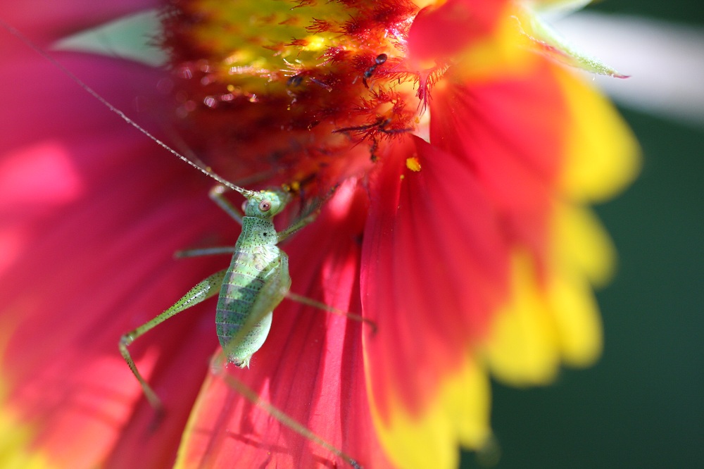 1/100 200iso  f 2,8