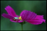 1/160 500iso f2,8