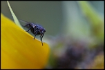 1/200s 640iso f2,8