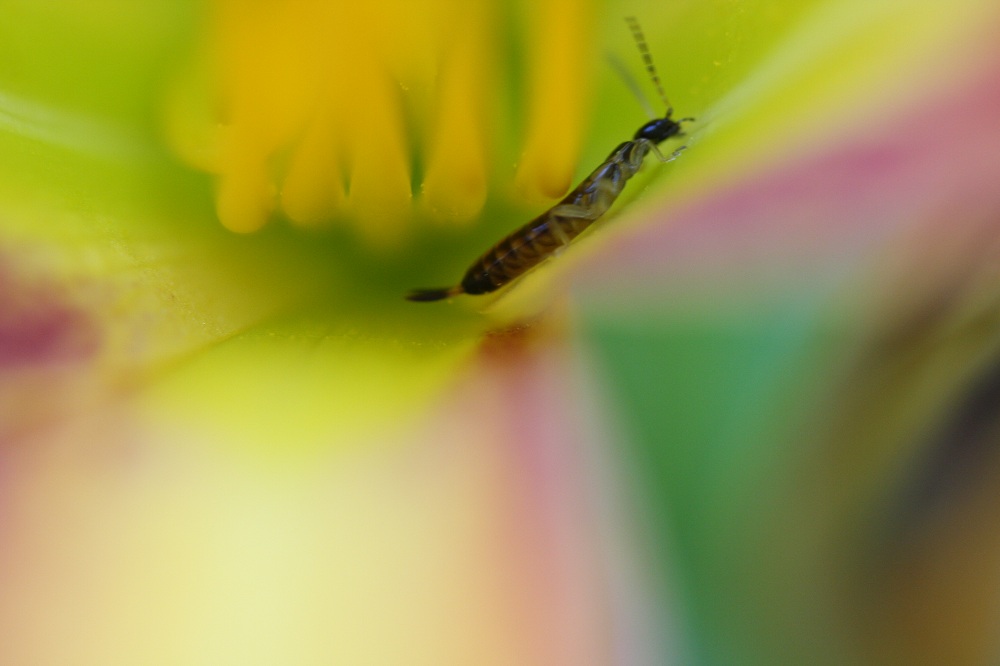 1/125 640iso f3,2