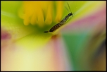 1/125 640iso f3,2